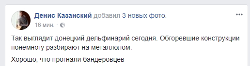 "Хорошо, что прогнали бандеровцев": сеть поразили фото донецкого дельфинария